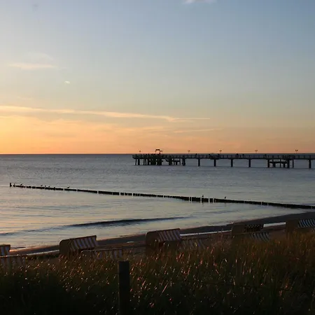 Thiel Og * Dierhagen