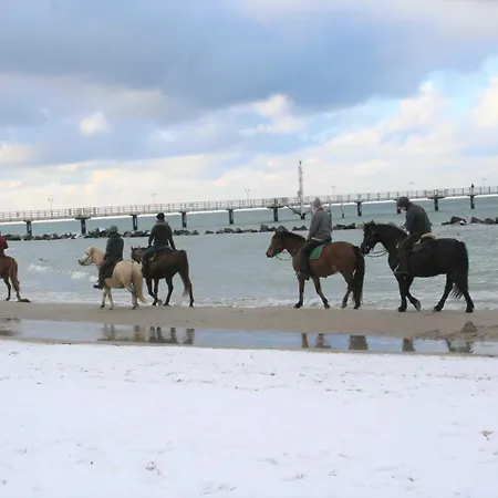 Thiel Og Lägenhet *